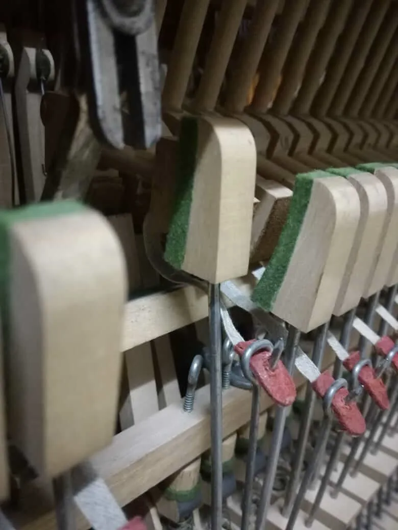 Martillos de piano con fieltro verde durante la regulación